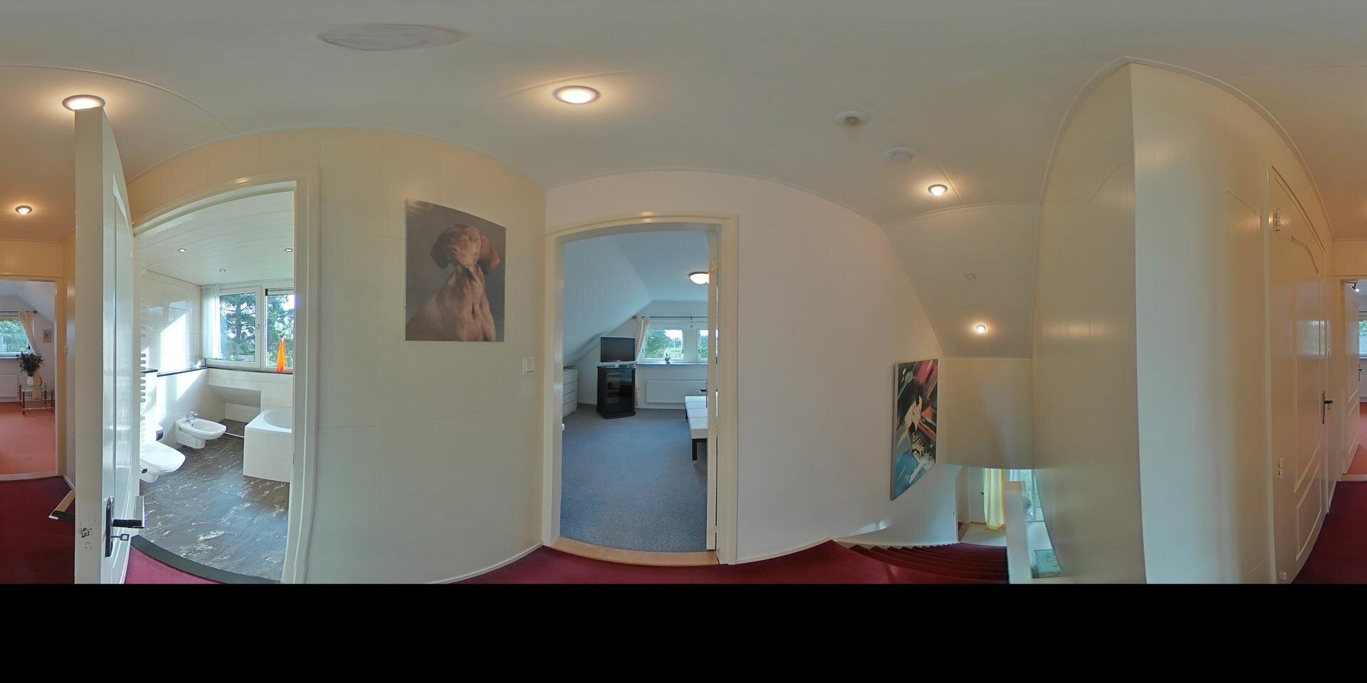 360 tour
