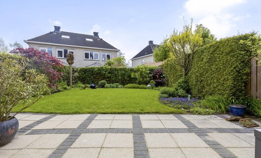 Waterlelie 65 DRACHTEN foto-3